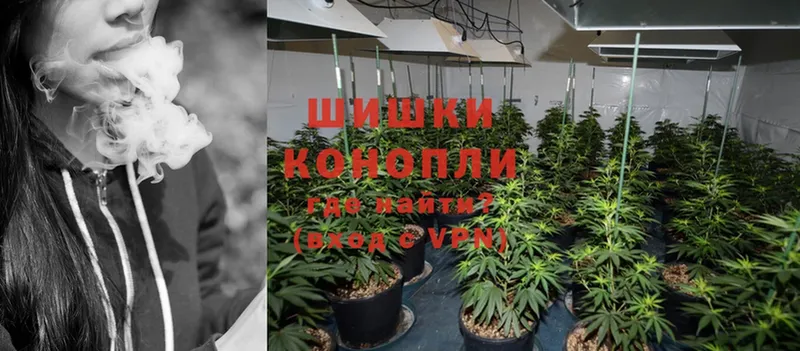 Конопля Ganja  купить закладку  Большой Камень 